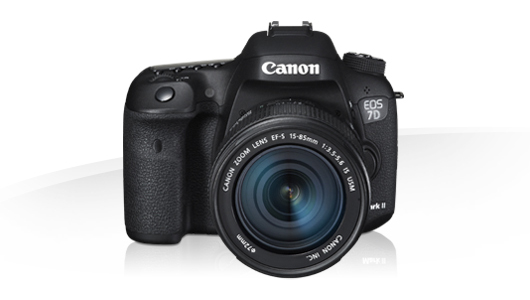 Canon EOS-1N AF SLR 35mm Camera - Index Page